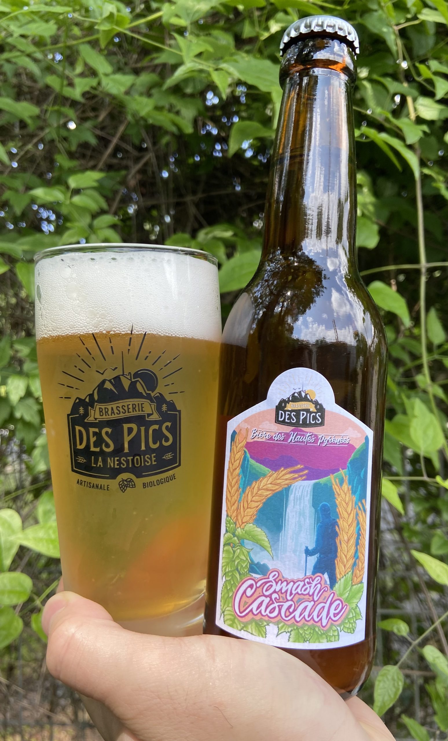 Houblon Cascade pour la bière